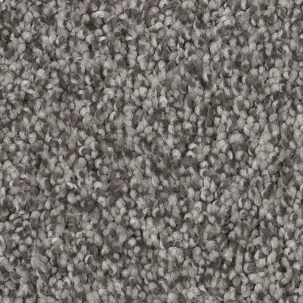 Anderson Tuftex Terra Nova Carpet in Lunar