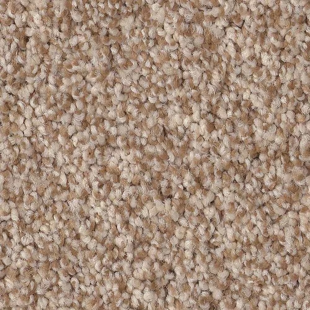 Anderson Tuftex Terra Nova Carpet in Potter's Clay