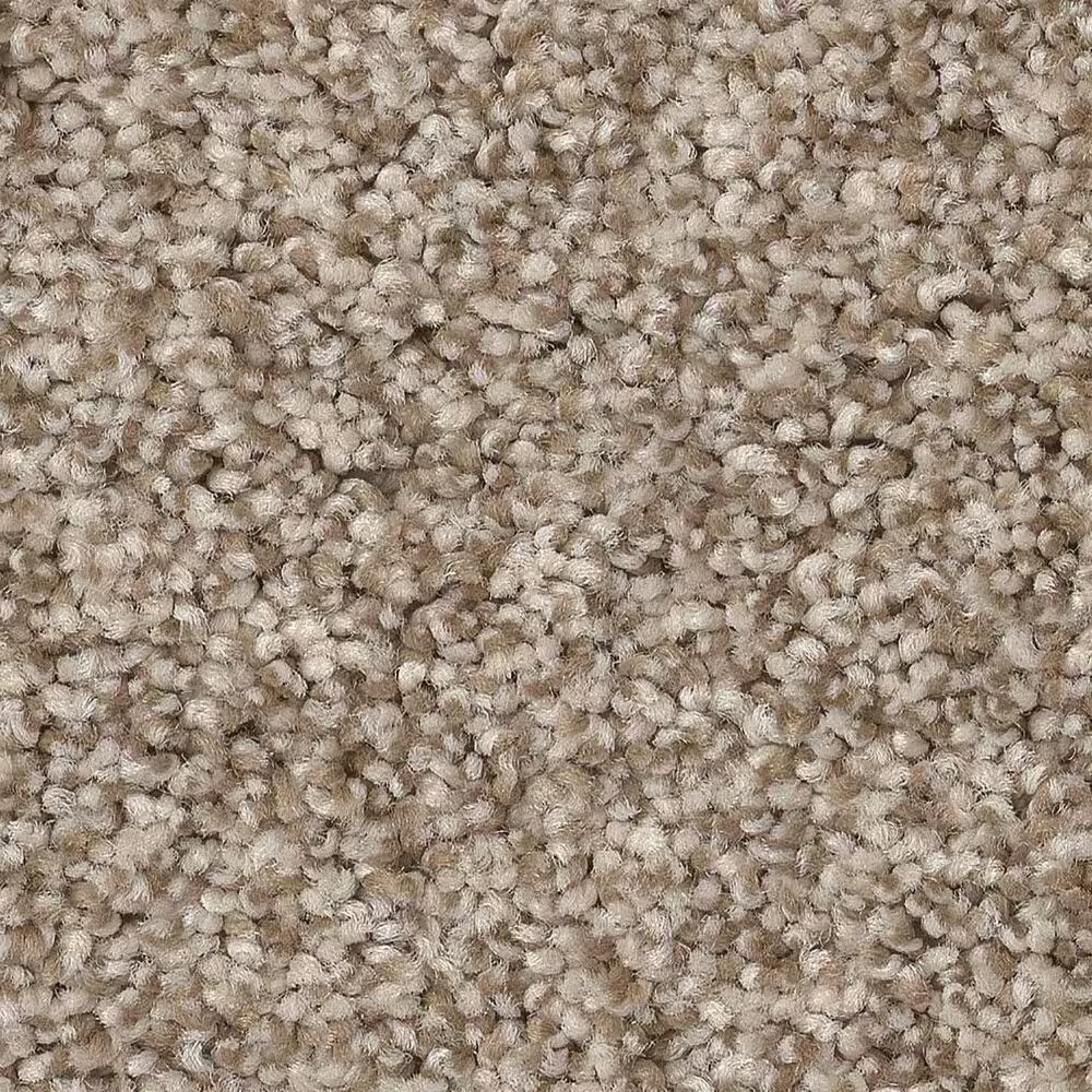 Anderson Tuftex Terra Nova Carpet in Meditation
