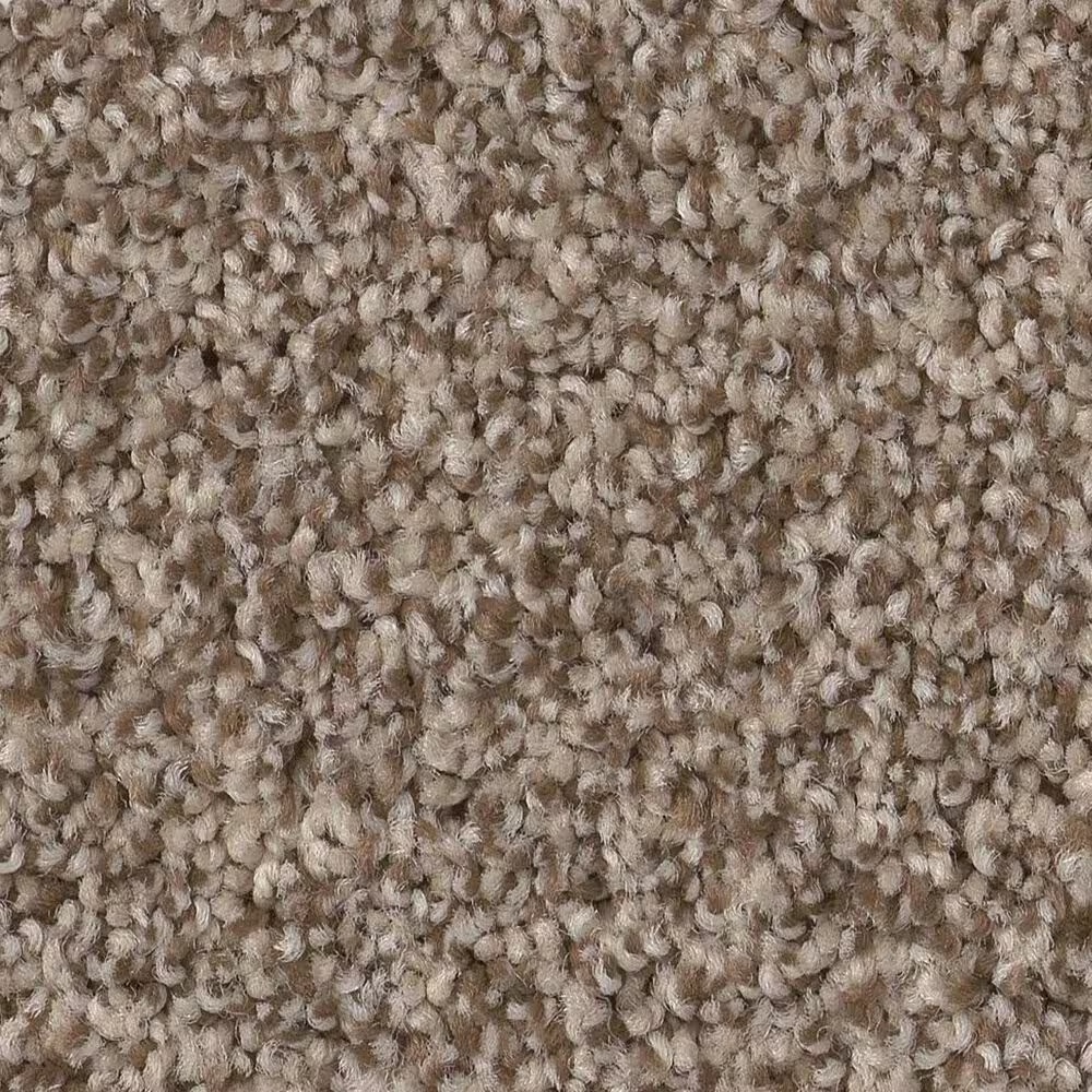 Anderson Tuftex Terra Nova Carpet in Roasted
