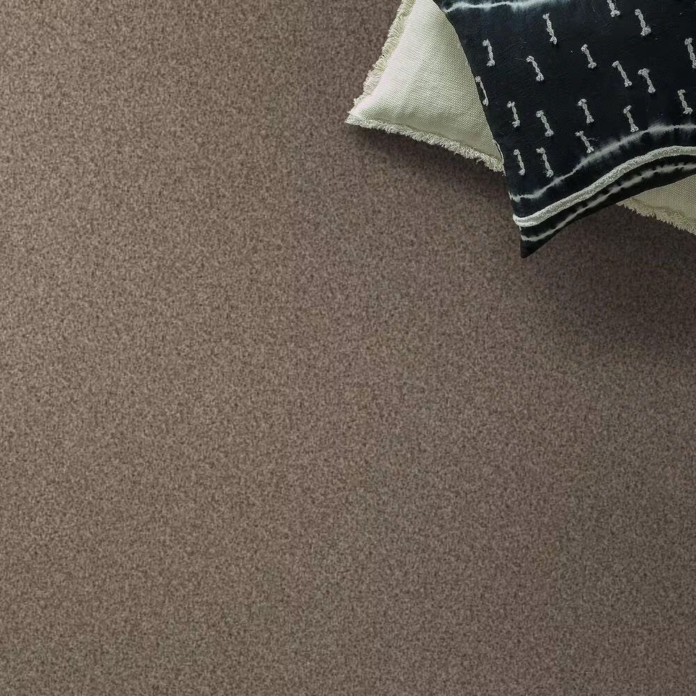 69518-anderson-tuftex-terra-nova-carpet-in-roasted-1.jpg