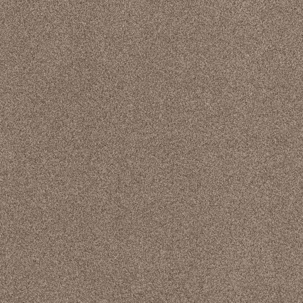 69518-anderson-tuftex-terra-nova-carpet-in-roasted-1.jpg