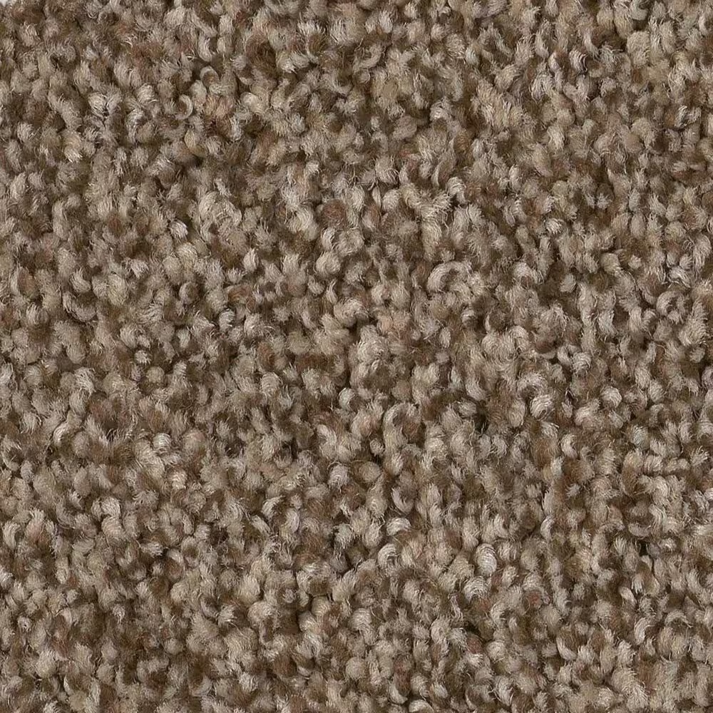 Anderson Tuftex Terra Nova Carpet in Joshua Tree