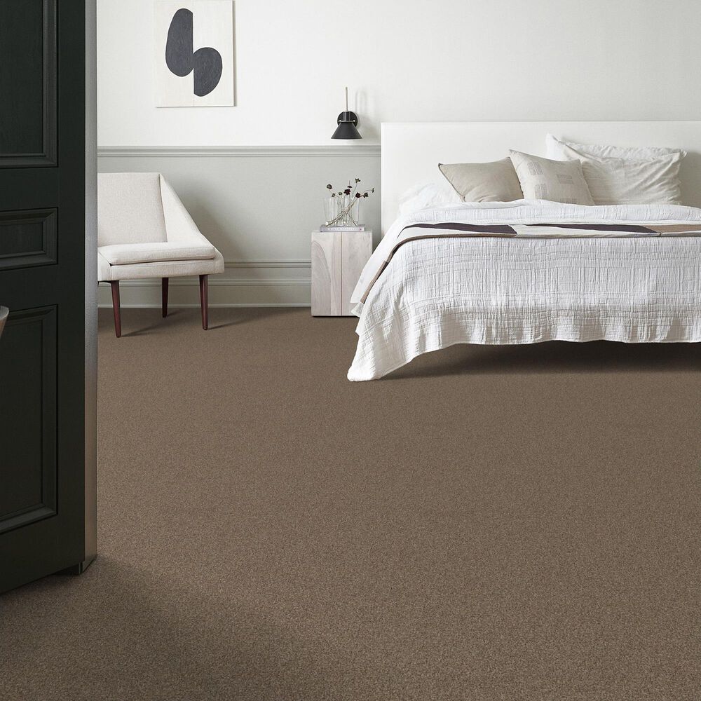 69543-anderson-tuftex-terra-nova-carpet-in-joshua-tree-1.jpg