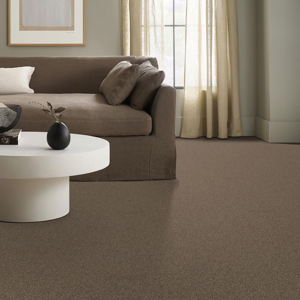 69543-anderson-tuftex-terra-nova-carpet-in-joshua-tree-1.jpg