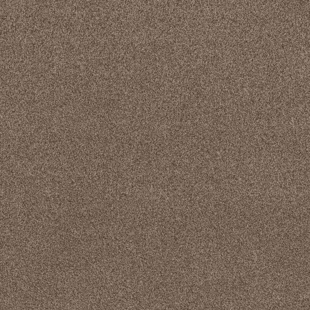 69543-anderson-tuftex-terra-nova-carpet-in-joshua-tree-1.jpg