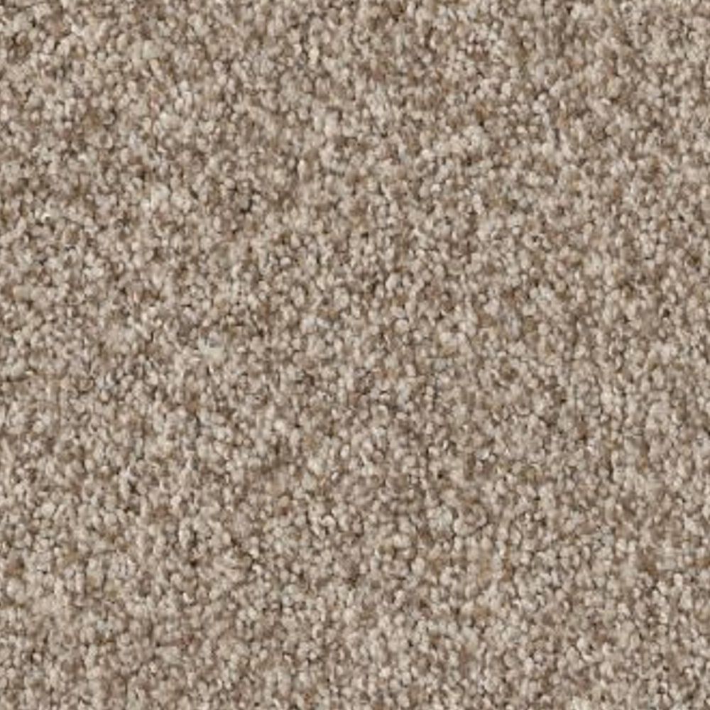 Anderson Tuftex Terra Nova Carpet in Cascade