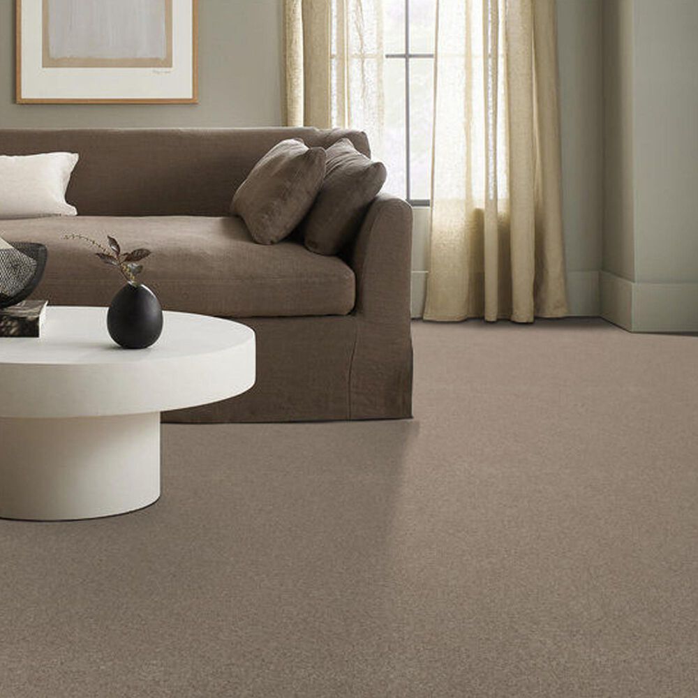 69568-anderson-tuftex-terra-nova-carpet-in-cascade-1.jpg