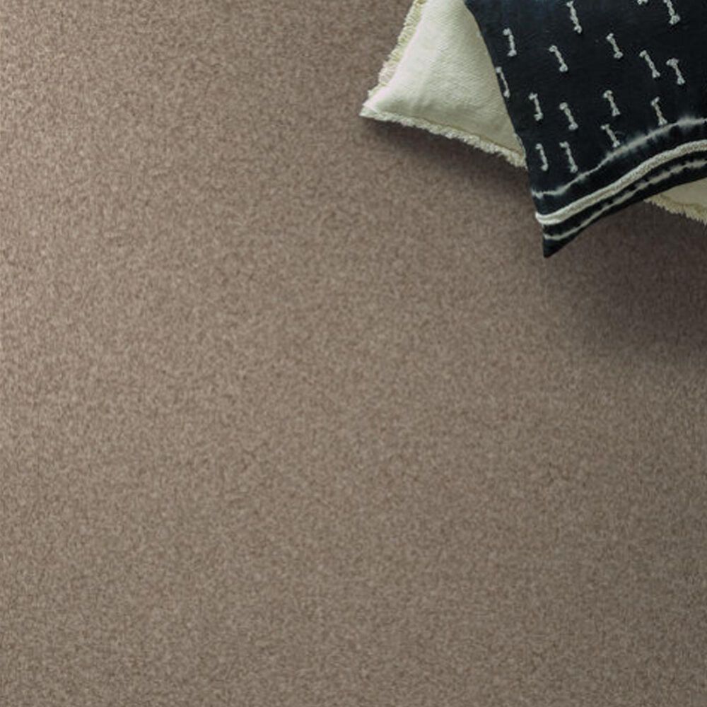 69568-anderson-tuftex-terra-nova-carpet-in-cascade-1.jpg