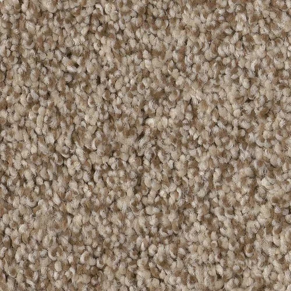 Anderson Tuftex Terra Nova Carpet in Landscape