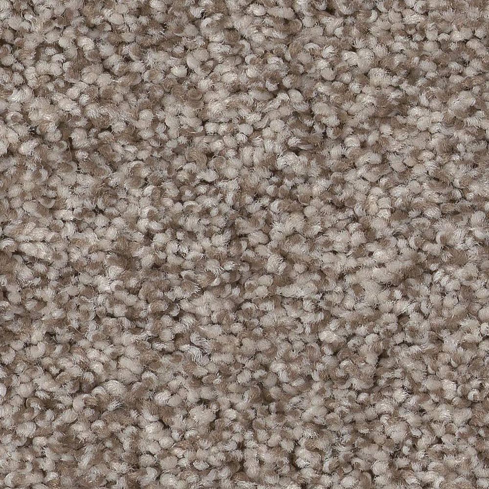 Anderson Tuftex Terra Nova Carpet in Pashmina