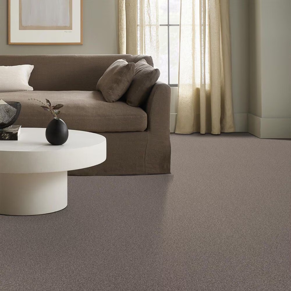 69618-anderson-tuftex-terra-nova-carpet-in-pashmina-1.jpg