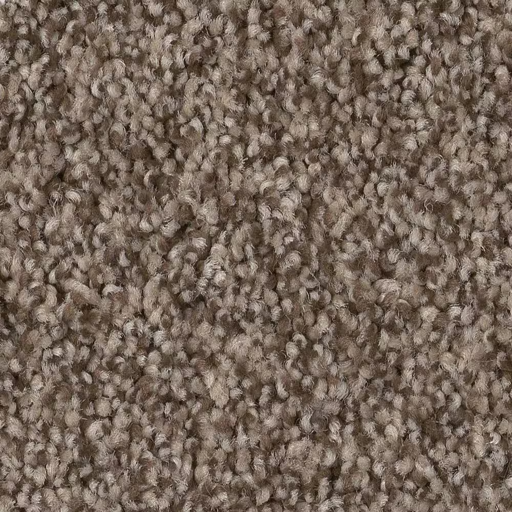 Anderson Tuftex Terra Nova Carpet in Palm Desert