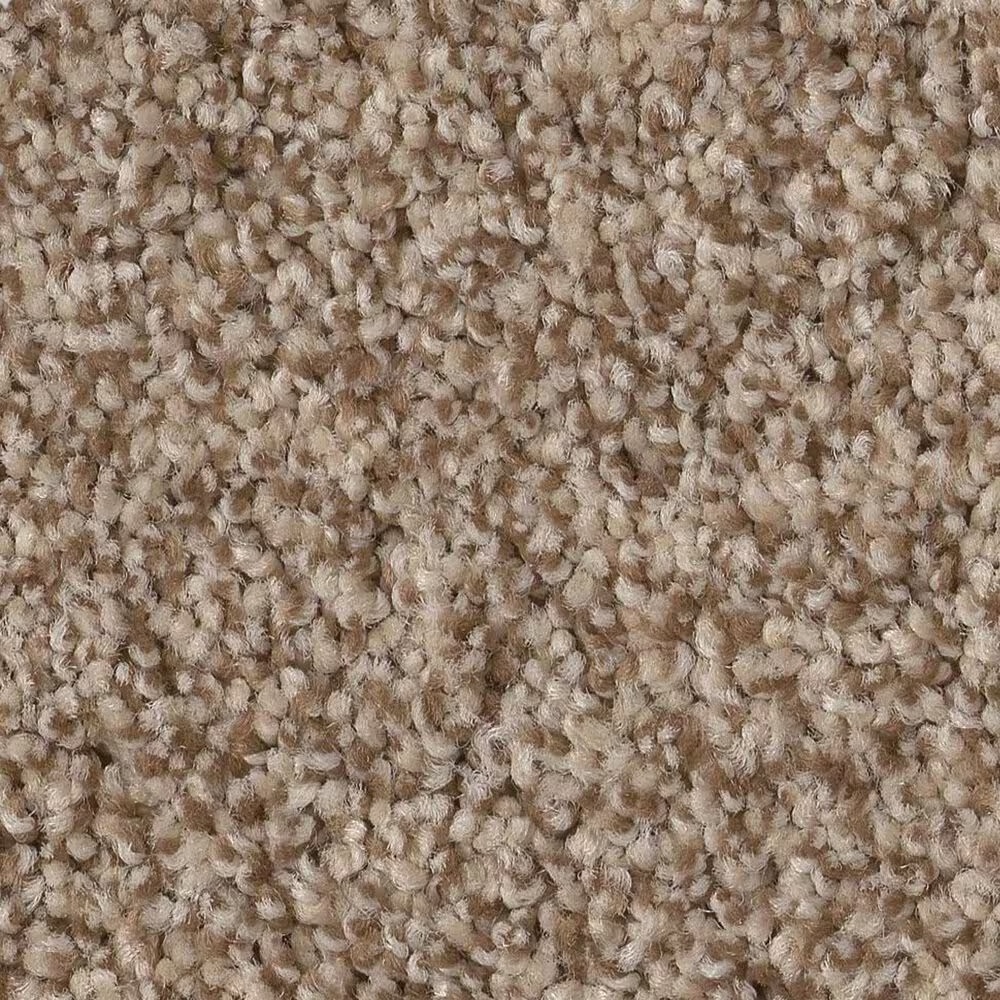 Anderson Tuftex Terra Nova Carpet in Nutshell