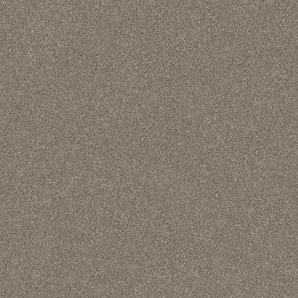 Shaw Without Limits I Carpet in Macadamia