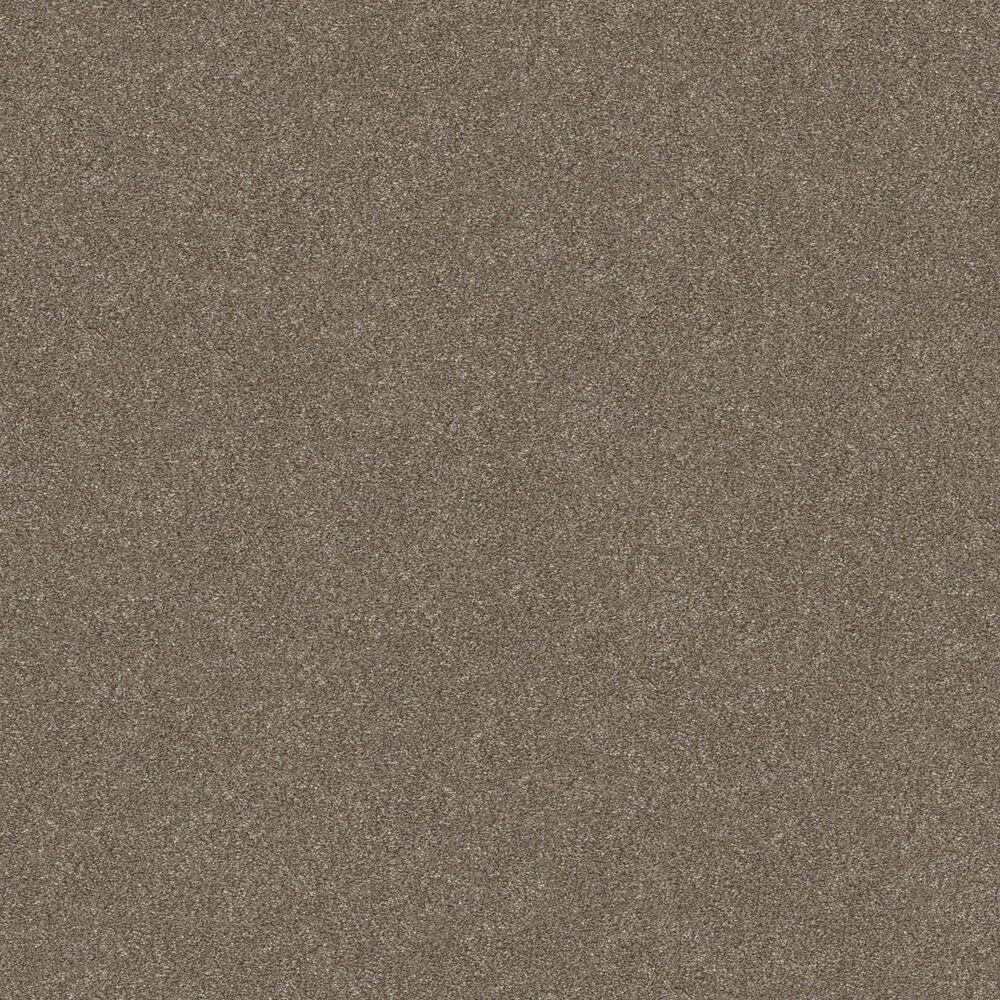Shaw Without Limits I Carpet in Sandbank
