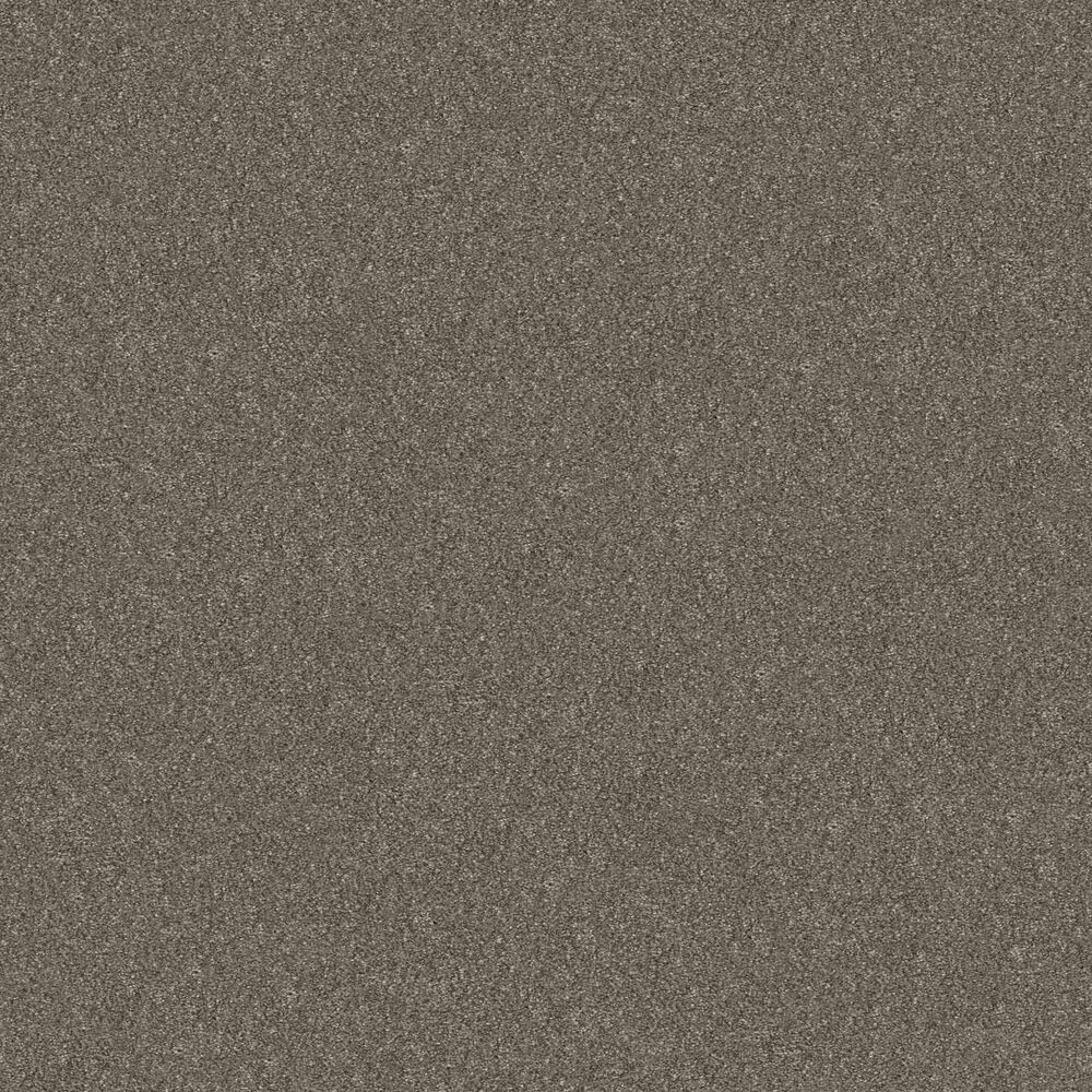 Shaw Without Limits I Carpet in Travatan
