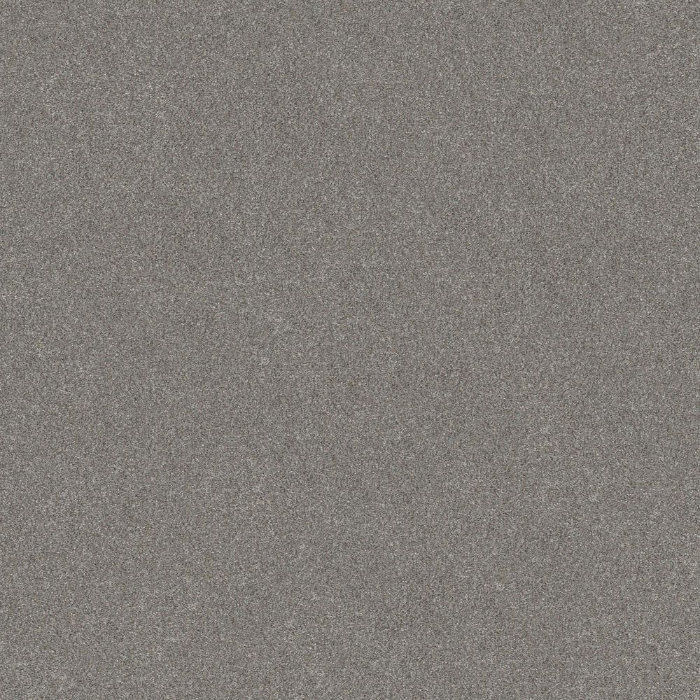 Shaw Without Limits I Carpet in Stainless