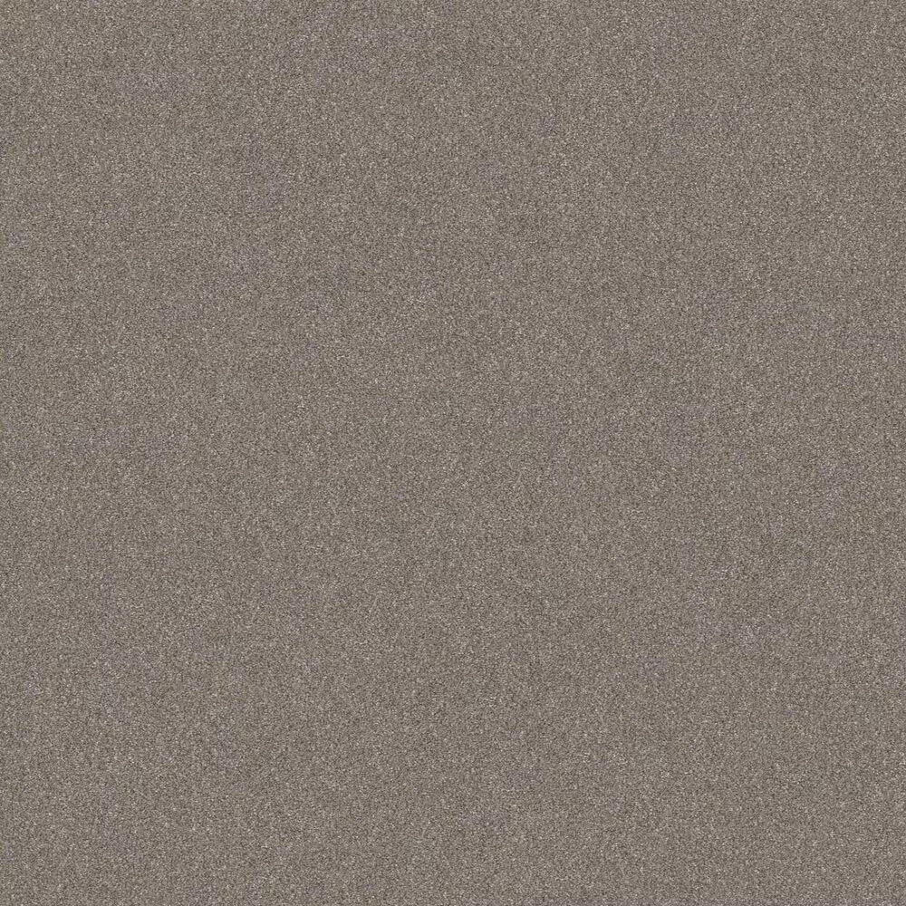 Shaw Without Limits II Carpet in Abalone