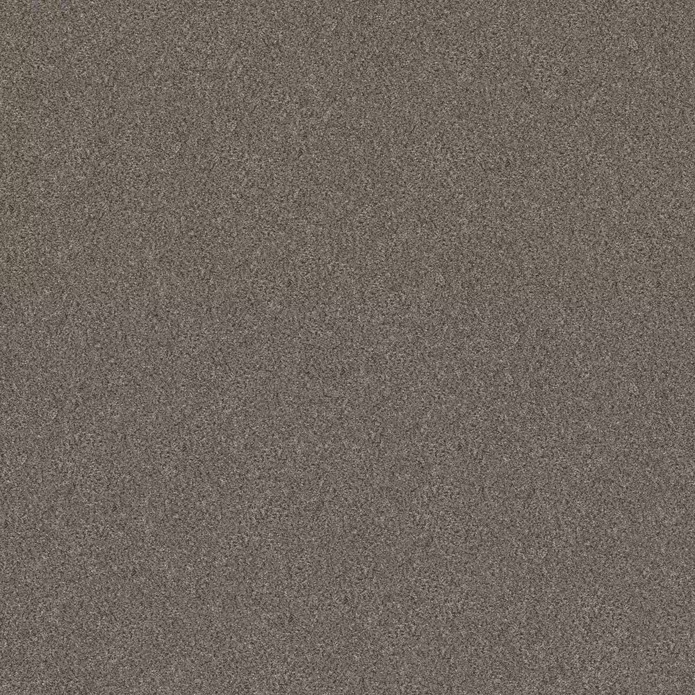 Shaw Without Limits II Carpet in Misty Mica