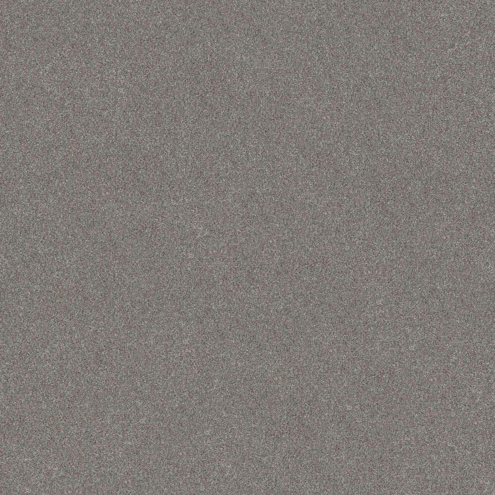 Shaw Without Limits II Carpet in Stainless