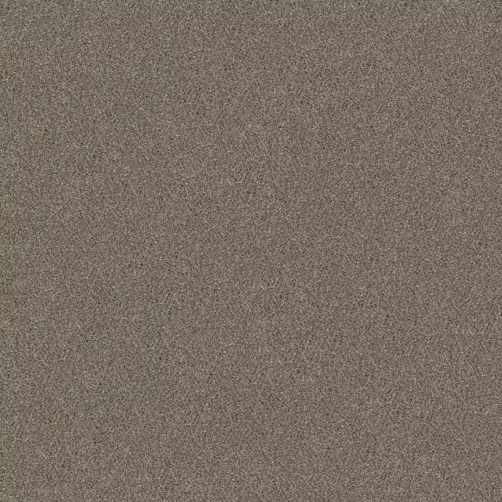 Shaw Without Limits II Carpet in Saddle Tan
