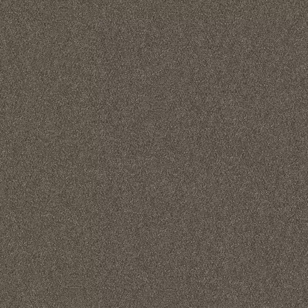Shaw Without Limits II Carpet in Boardwalk