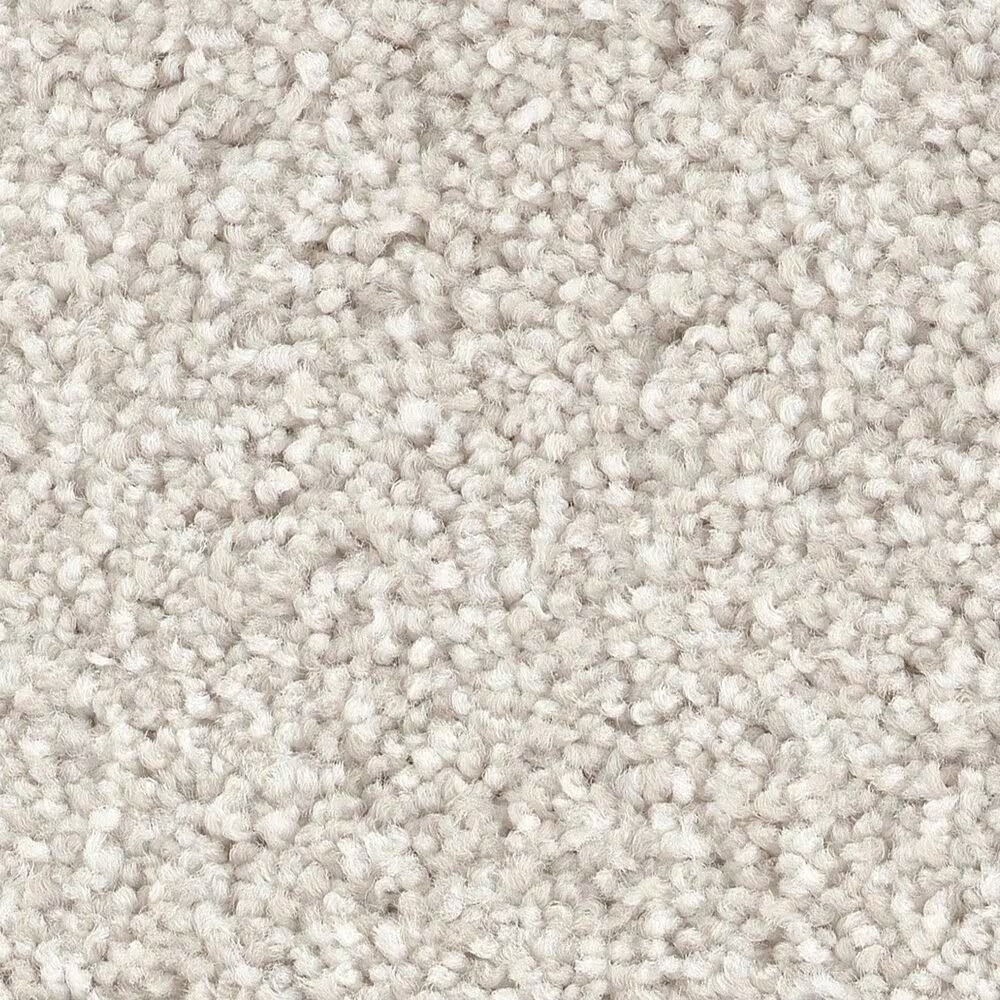 Shaw Live on Comfort Carpet in Cascade White