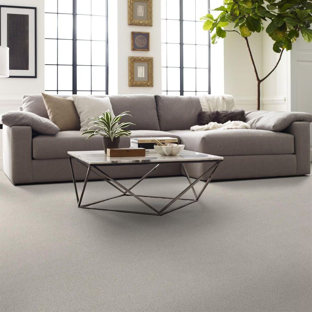 69907-shaw-live-on-comfort-carpet-in-cascade-white-1.jpg