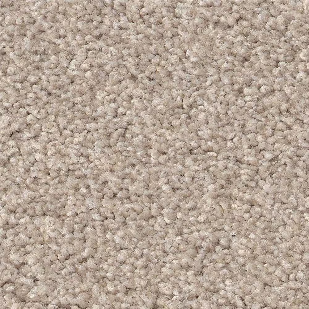 Shaw Live On Comfort Carpet in Natural Blonde