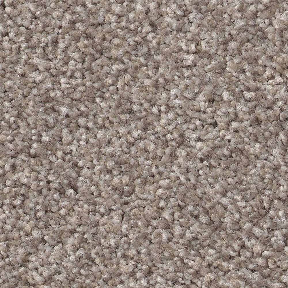 Shaw Live On Comfort Carpet in Afterglow