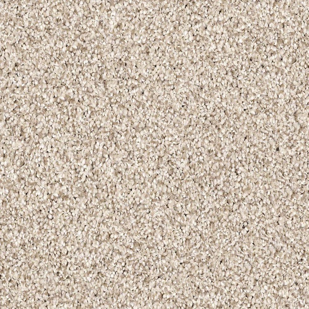 Shaw Palatial Carpet in River Rock