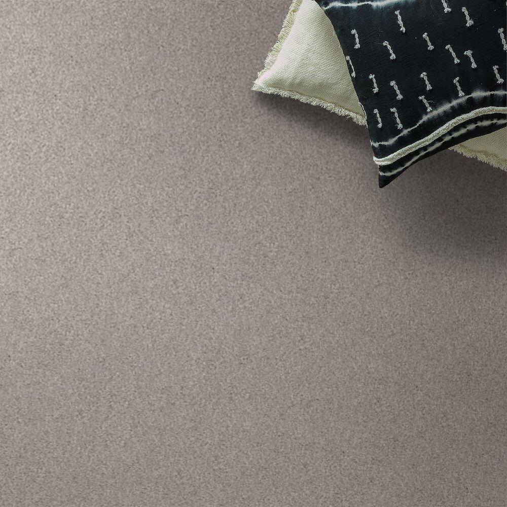 70012-shaw-live-on-comfort-carpet-in-brushed-aluminum-1.jpg
