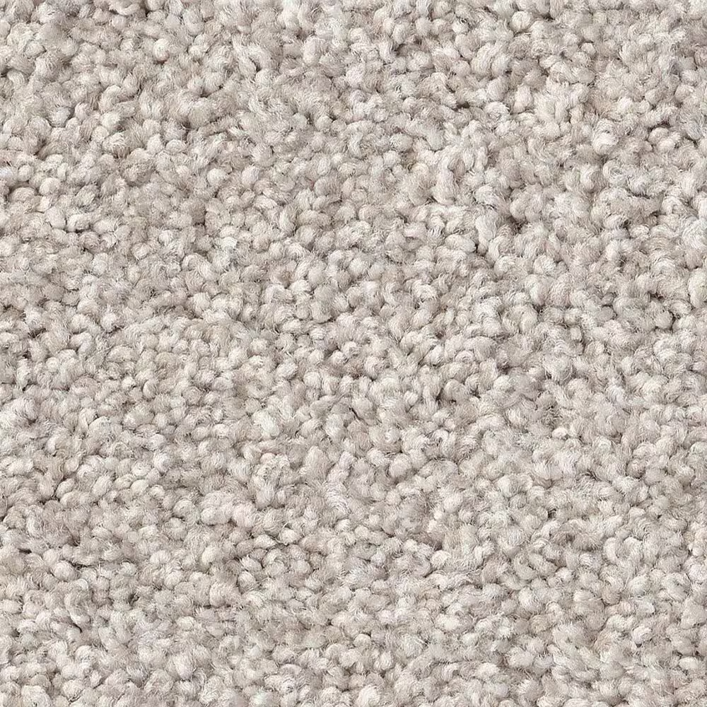 Shaw Live On Comfort Carpet in Horizon