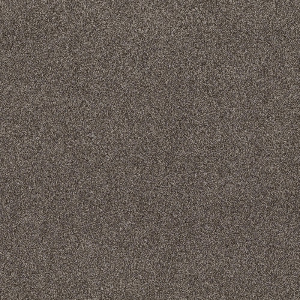 Shaw Live on Comfort Carpet in Woodcliff Brown