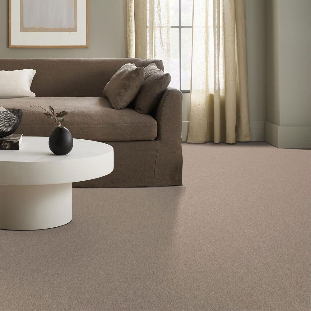 70222-shaw-live-on-comfort-carpet-in-palm-desert-1.jpg