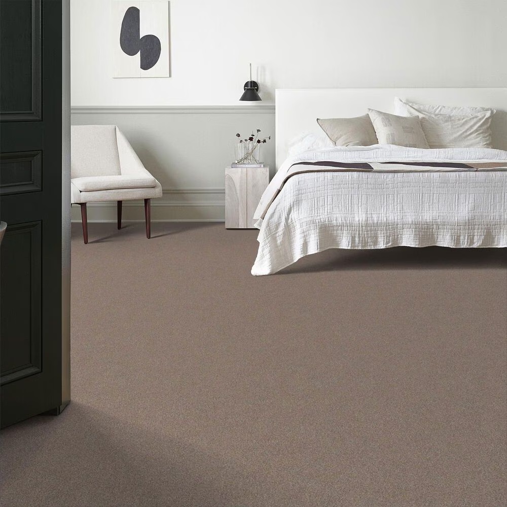 70243-shaw-live-on-comfort-carpet-in-carriage-house-1.jpg