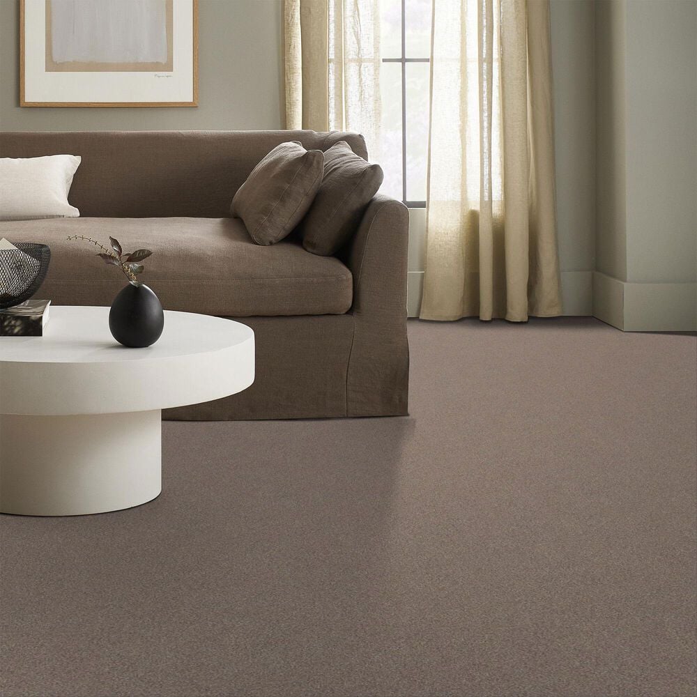 70243-shaw-live-on-comfort-carpet-in-carriage-house-1.jpg