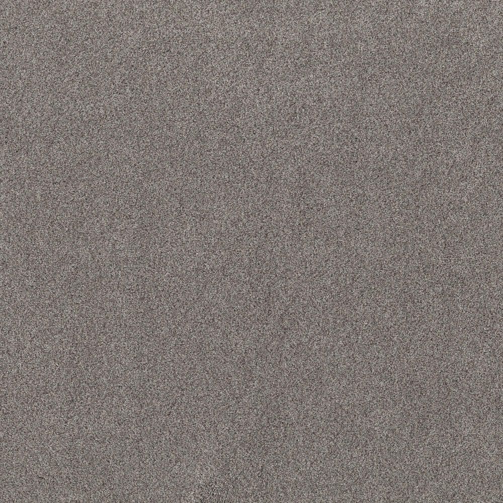 Shaw Live on Comfort Carpet in Century Taupe