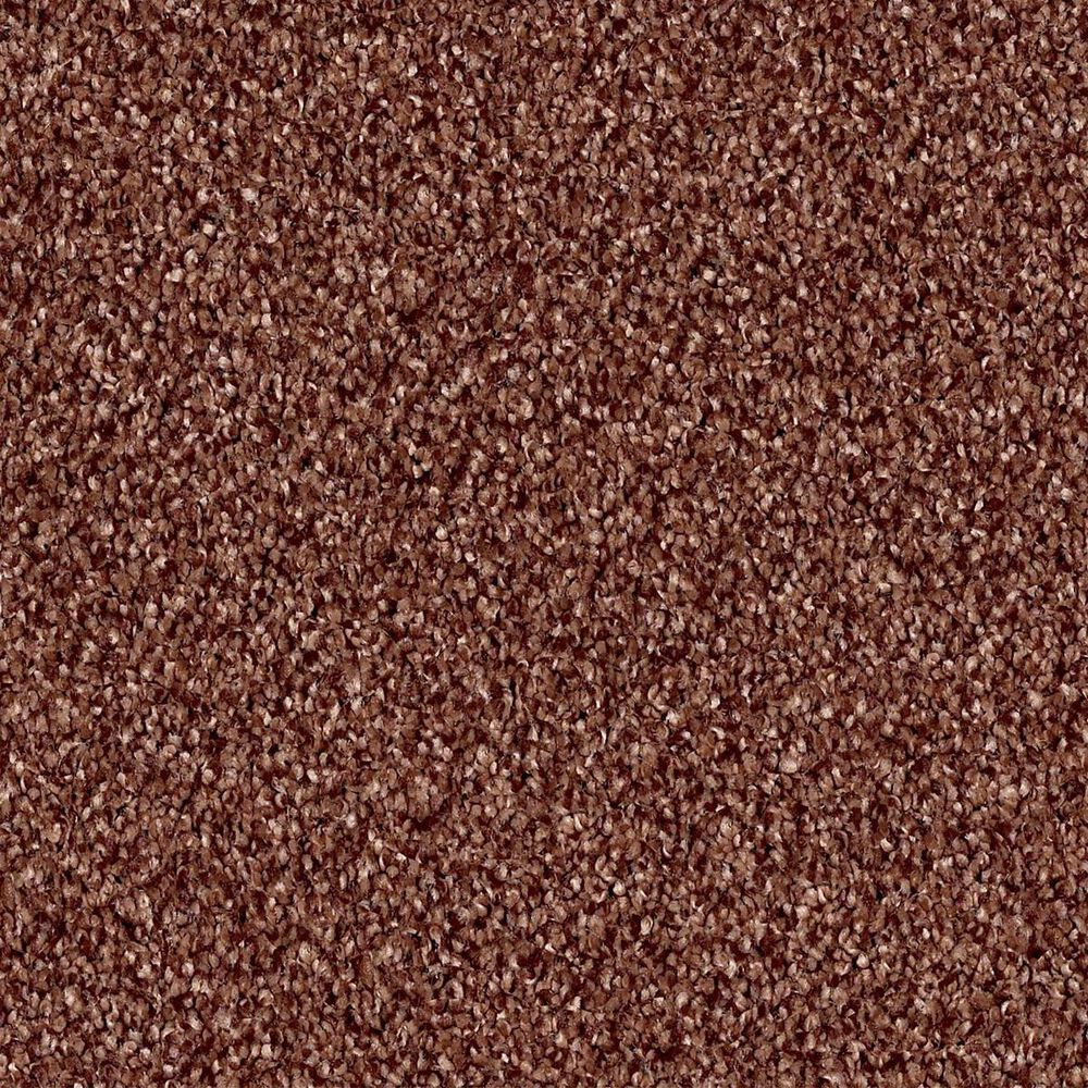 Shaw Palatial Carpet in Copper