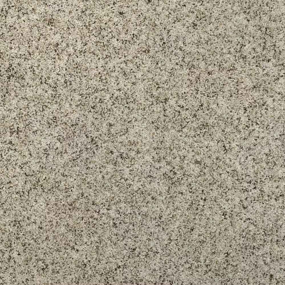 Mohawk Thoughtful Choice II Carpet in Cloud Shadow