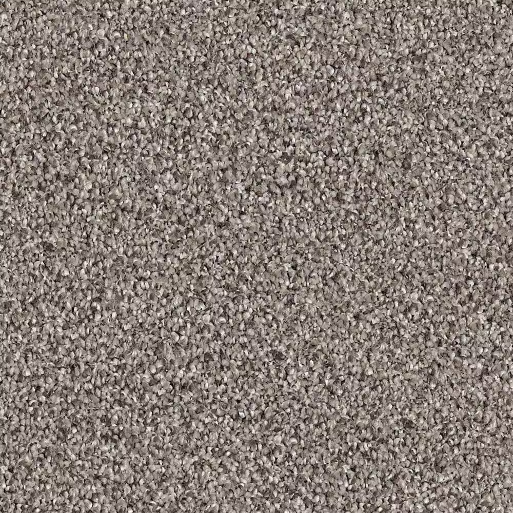 Shaw Palatial Carpet in River Bank