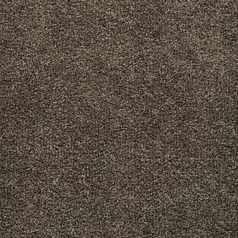 Mohawk Natural Confidence Carpet in Cathedral