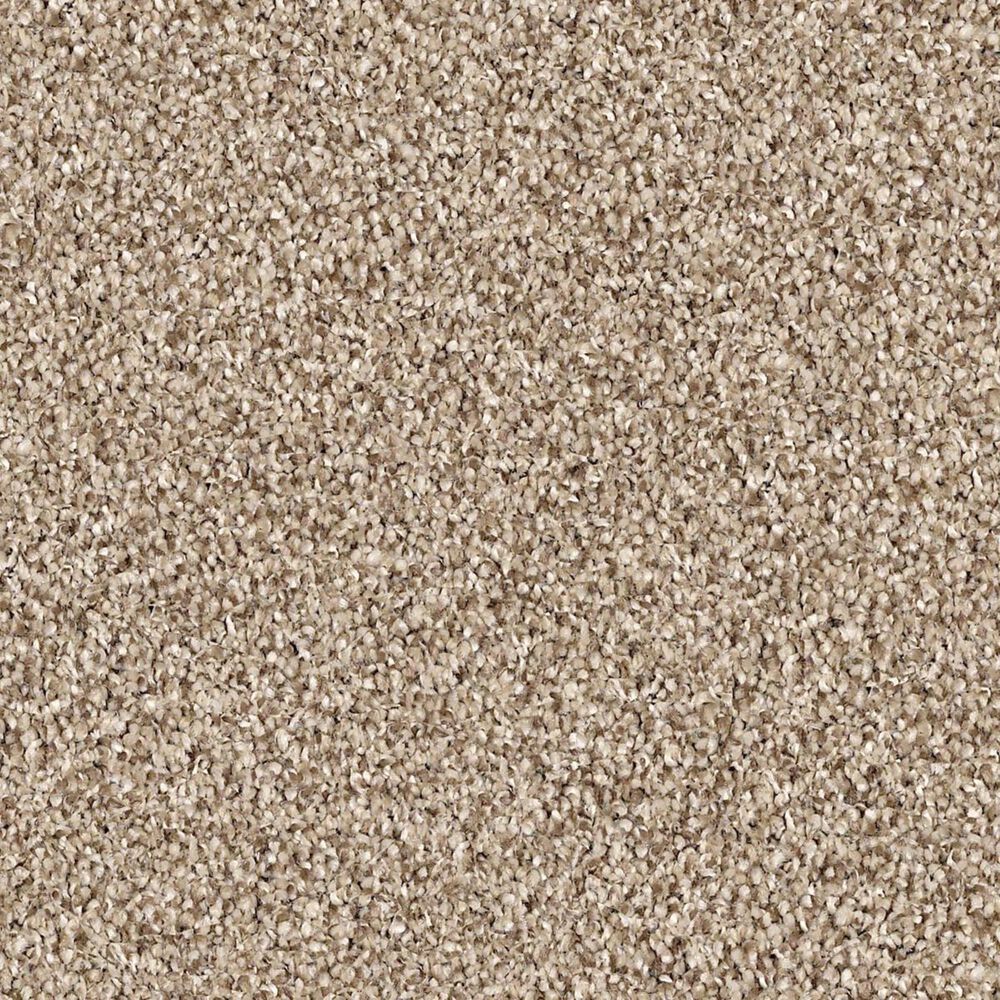 Shaw Palatial Carpet in Caravan