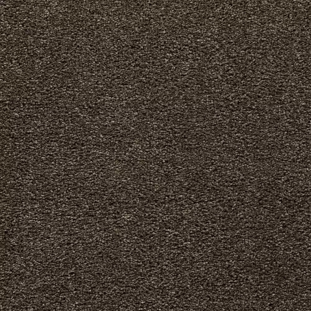 Mohawk Natural Confidence Carpet in Longhorn