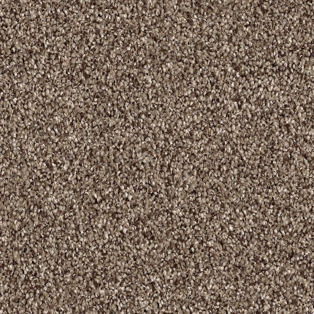 Shaw Palatial Carpet in Pine Cone