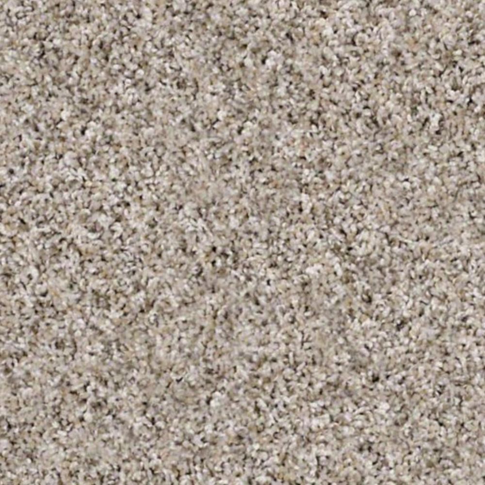 Shaw Frosting Carpet in Glacier