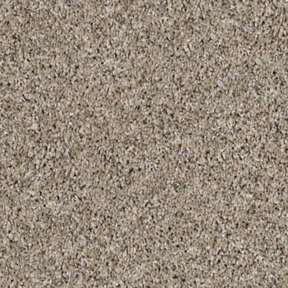 Shaw Frosting Carpet in Echo