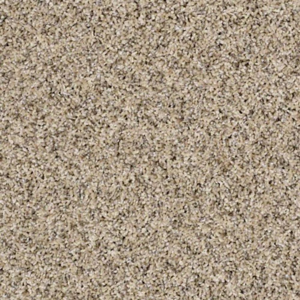 Shaw Frosting Carpet in Colonial Cream