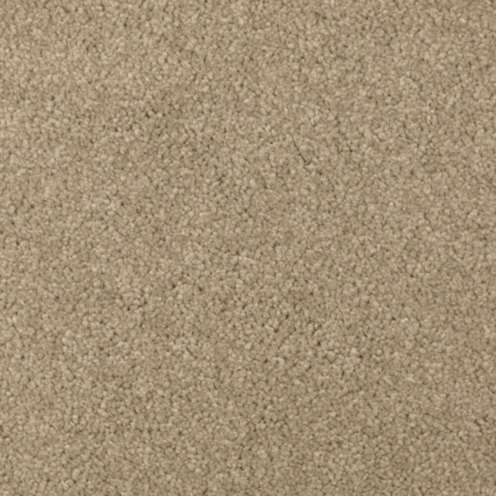 Mohawk Windsor Gardens I Carpet in Brushed Suede